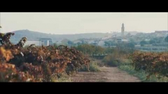 Embedded thumbnail for Vídeo 35 anys ACM: La força del món local